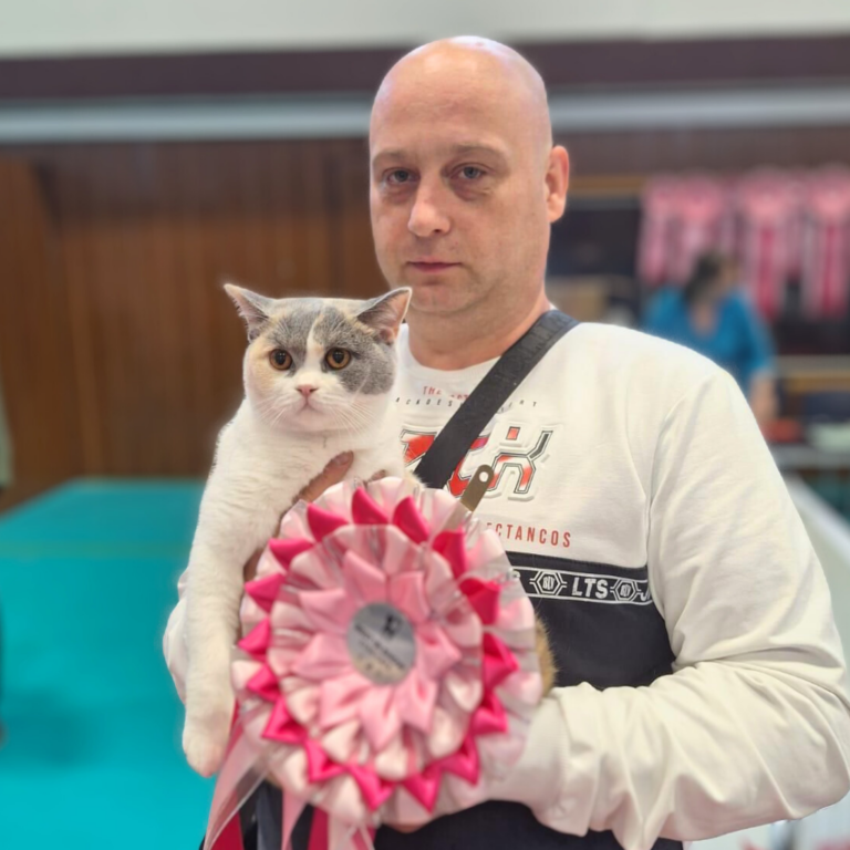 To Nasza Kinia. (26)