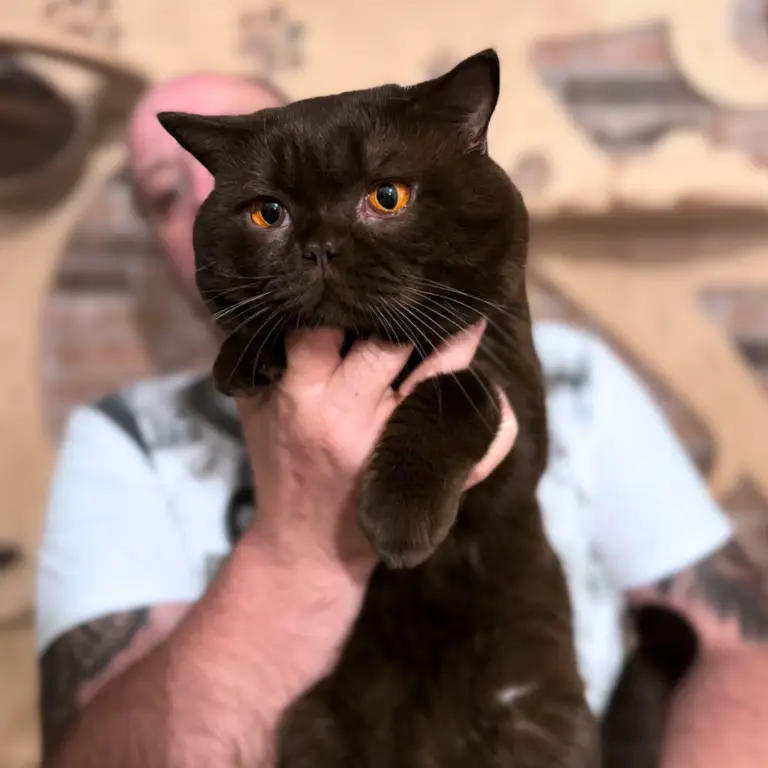 To Nasza Kinia. (31)