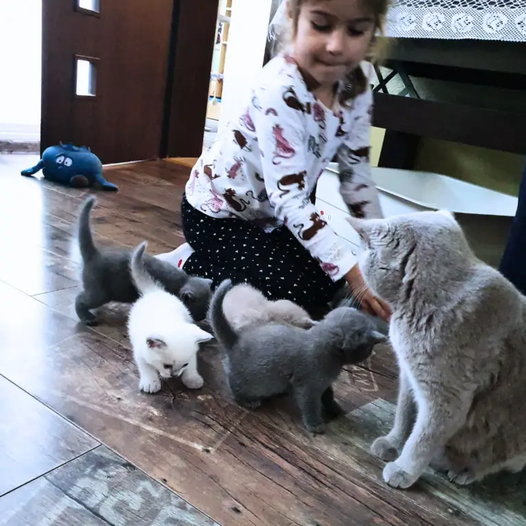 To Nasza Kinia. (38)